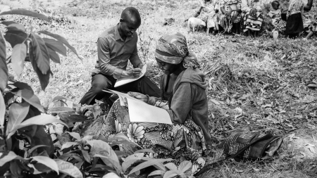 The Creation of Tontines in the RECASE Project